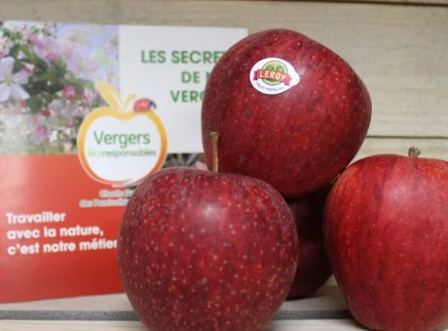 Le Châtaignier - Pommes Gala - Colis 4kg