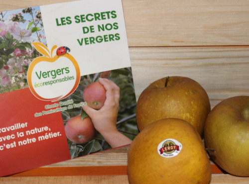 Le Châtaignier - Pommes Bertanne - Colis 8 Kg