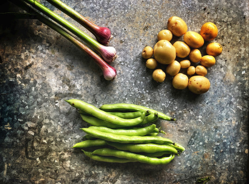 La Ferme d'Artaud - Lot pommes de terre nouvelles + fèves + ail frais