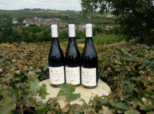 Domaine Doudeau-Leger - Vent d'Ange - Vin de Pays du Val de Loire Rouge IGP 2022 - 3 Bouteilles
