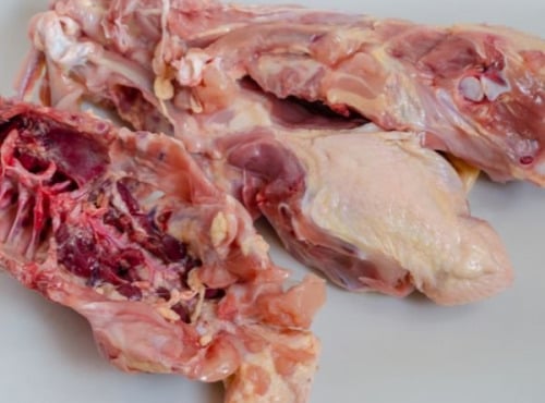 La Coussoyote - Carcasse de poulet - 600g