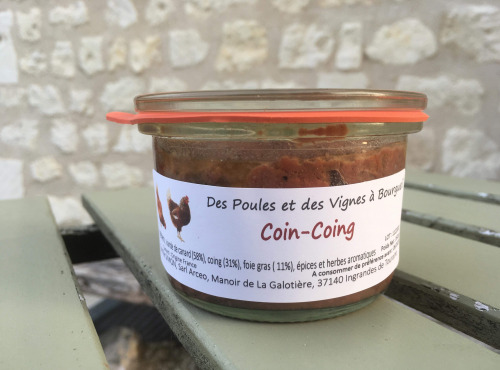 Des Poules et des Vignes à Bourgueil - Coin-coing