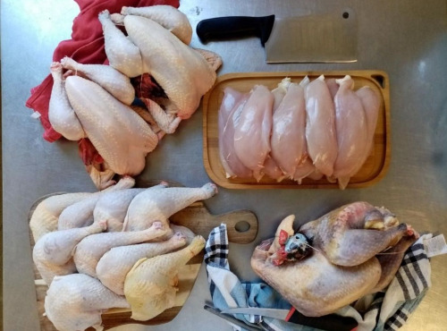 Les poulets de la Marquise - Colis Ecureuil XL 100% poulet bio