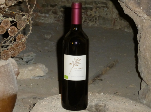 Domaine Folle Avoine - Vin rouge Bio - Galineta 2020 - Sans sulfites ajoutés