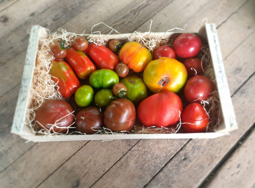 Langevine - Tomate Panachée Population 2kg