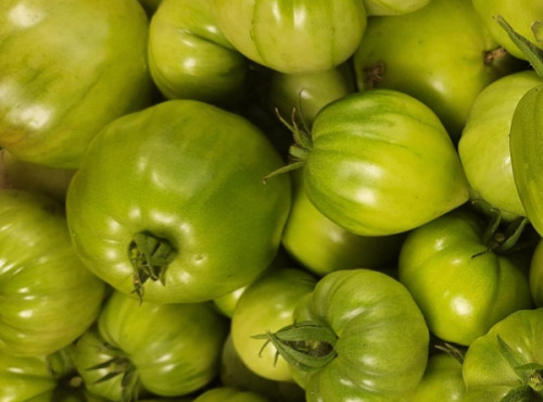 Le Pré de la Rivière - Tomates vertes pour confiture 2kg - Origine France