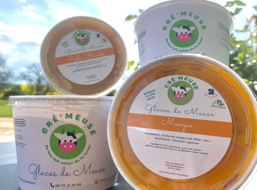 Glaces de Meuse - PACK "Ultra Fruité" - Crèmes Glacées et Sorbets PF 360g x 6