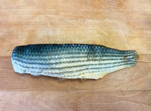 Côté Fish - Mon poisson direct pêcheurs - Filet de Muge Fumé