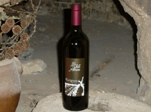 Domaine Folle Avoine - Vin rouge Bio - Carignan 2020 - 6x75cl