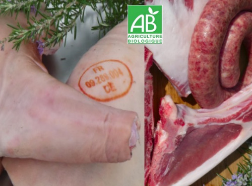 Terres EnVie - Colis viande de Porcelet Mangalica Bio - porc plein air - 3kg