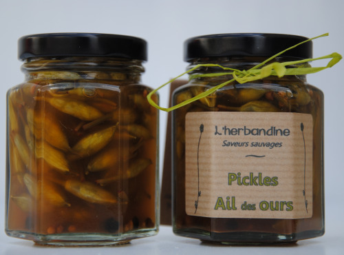 L'herbandine - 2 Pickles d'Ail des Ours - 80 g