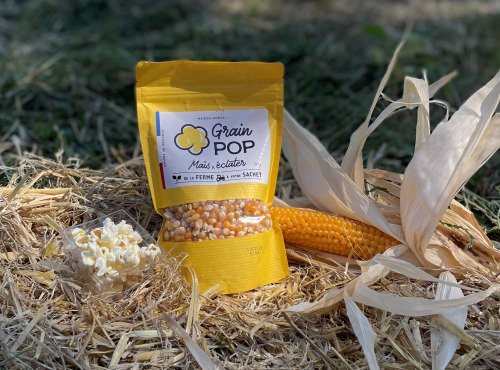 Grain Pop - Maïs Popcorn Nature vrac - 10 sachets de 300g