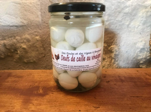 Des Poules et des Vignes à Bourgueil - 24 œufs de caille au vinaigre