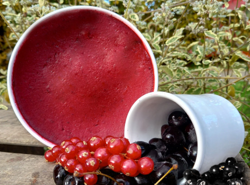 O Maribelle - Sorbet Fruits Rouges BIO 1 litre