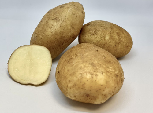 Fécule de pomme de terre - Achat et utilisation - L'ile aux épices