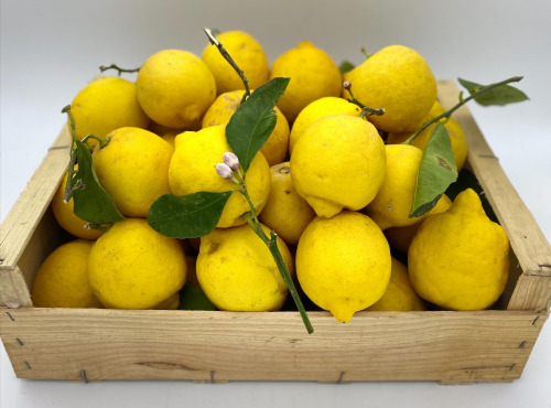 Le Panier du Producteur - Citrons - 1kg