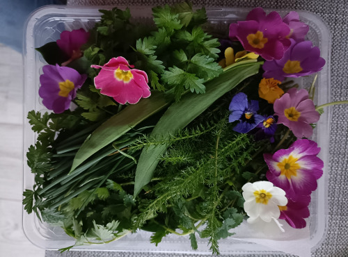 Rébecca les Jolies Fleurs - Bouquets sauvages comestibles