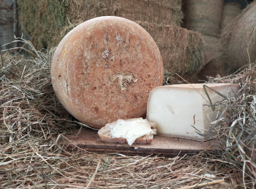 La ferme Lassalle - Fromage de Brebis AOP Ossau-Iraty Fermier de Printemps Boule Entière - 4,8kg