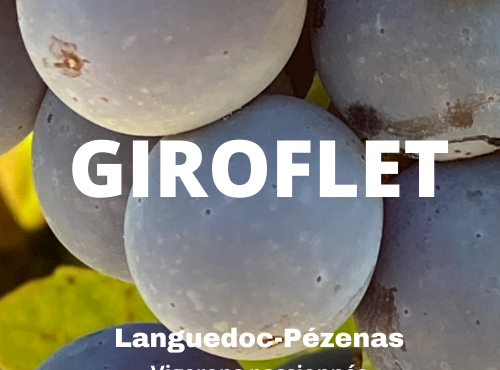 Domaine Giroflet - Giroflet Blanc 2020 - 6 bouteilles
