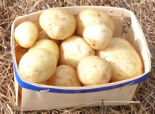 Ferme des petites Brossardières - Pomme de terre primeur bio - barquette de 500 g