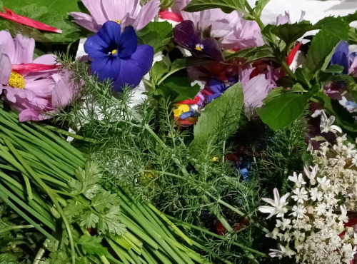 Rébecca les Jolies Fleurs - Saveurs et Fleurs fraiches pour les fêtes