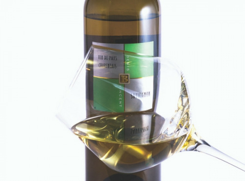 Vignobles du Sourdour - Blanc IGP Charentais Sauvignon - 6 Bouteilles