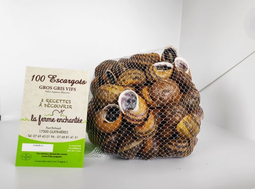 La Ferme Enchantée - 100 Escargots GROS GRIS Vifs Jeunés Prêt à Cuisiner