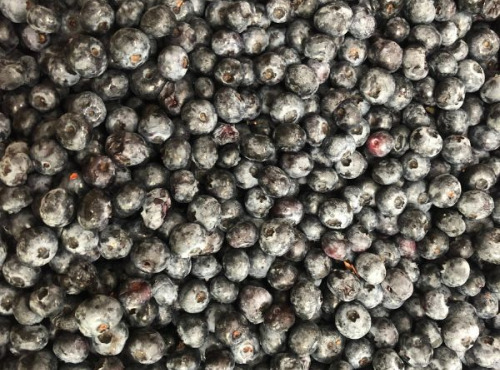 La Ferme des petits fruits - Myrtilles bio pour confiture 3 kg