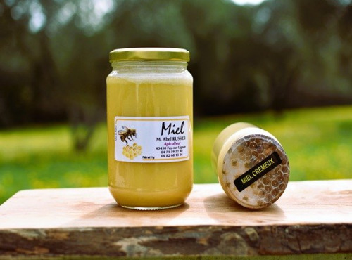 La Truite du Mézenc - Miel de fleurs crémeux - 1kg