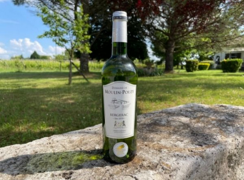 Vignobles Fabien Castaing - AOC Bergerac Blanc Sec Domaine de Moulin-Pouzy Tradition - 6x75cl