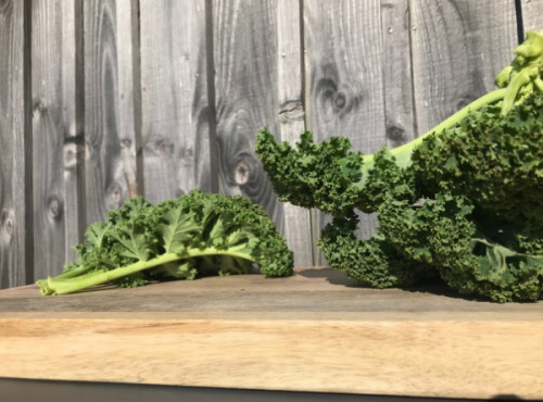 La Ferme du Polder Saint-Michel - Chou Kale Bio Croquant