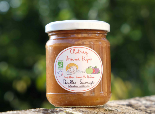 Papilles Sauvages - Chutney Pomme Figue Gingembre Bio