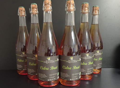 La Ferme du Luguen - Cidre Brut - Lot de 6 bouteilles