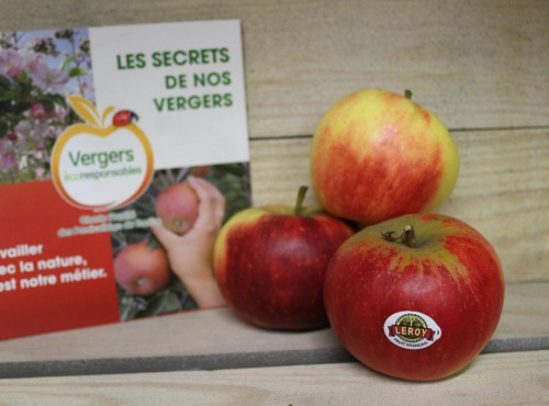 Le Châtaignier - Pommes Elstar - Colis 5kg