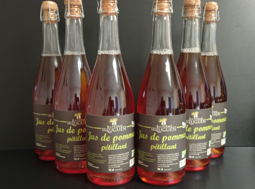La Ferme du Luguen - Jus de pommes pétillant - Lot de 6 bouteilles
