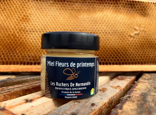 Les Ruchers de Normandie - Miel fleurs de printemps 125 g