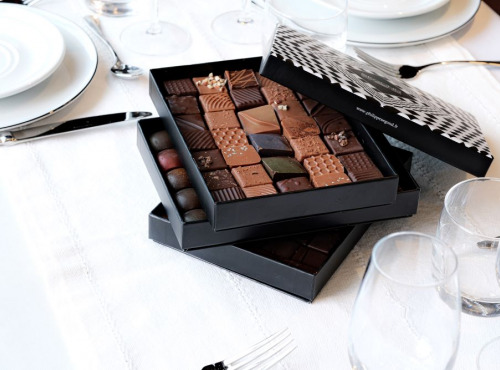 Philippe Segond MOF Pâtissier-Confiseur - Coffret cadeau 580g de chocolats artisanaux - ganaches et pralinés