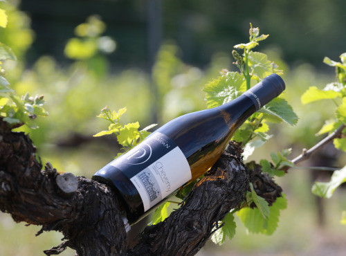 Domaine Daridan - Vin AOC Cheverny Blanc 2022 Tradition 6x75cl