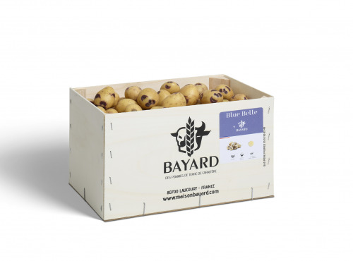 Maison Bayard - Pommes De Terre Grenailles Blue Belle - 5kg