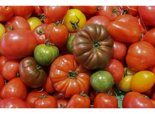 Le Châtaignier - Tomate d'antan 1kg