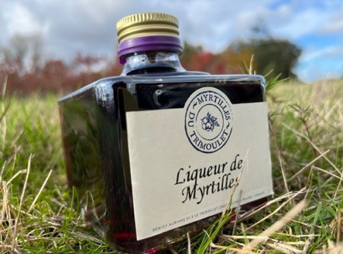 Myrtilles du Trimoulet - Liqueur de Myrtille - Jolie petite bouteille carrée de 20 cL