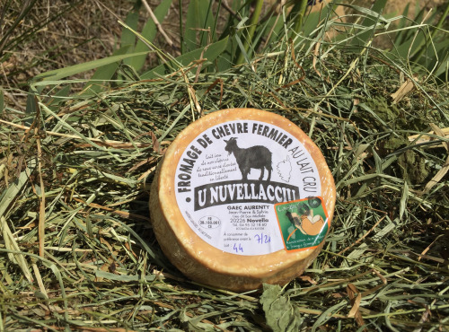 Depuis des Lustres - Comptoir Corse - Fromage de chèvre fermier U Nuvellacciu - 350 g