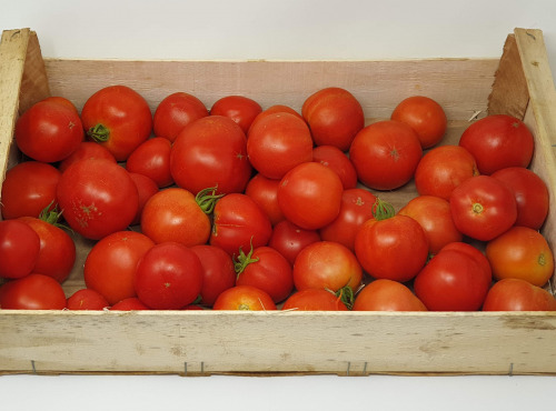 Langevine - Tomate Ronde Paola 1kg