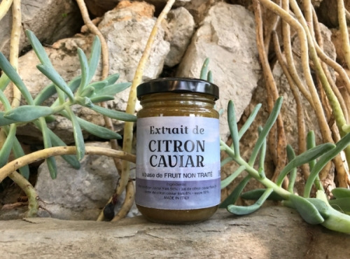 Le Jardin des Antipodes - Extrait de Citron Caviar