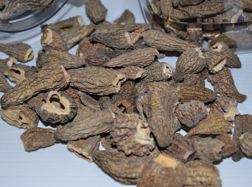 Trapon Champignons - Morilles séchées 40 g