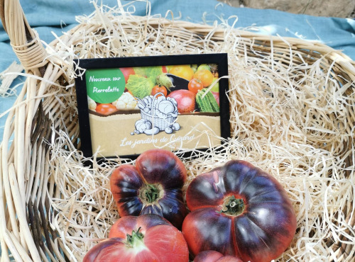 Les Jardins de Gérard - Tomate noire de Crimée Bio
