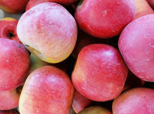 Le Châtaignier - Pommes Reines De Reinettes - Colis 5kg