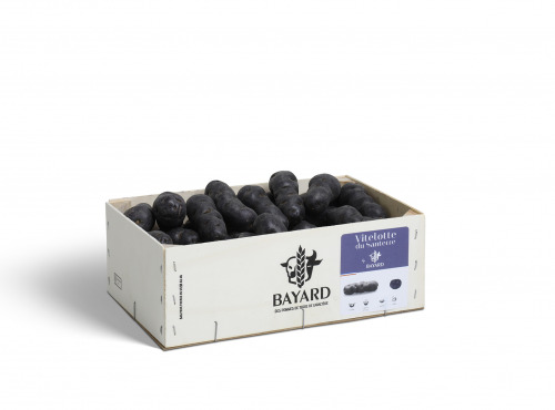 Maison Bayard - Pommes De Terre Vitelotte Bleue Du Santerre - 3kg