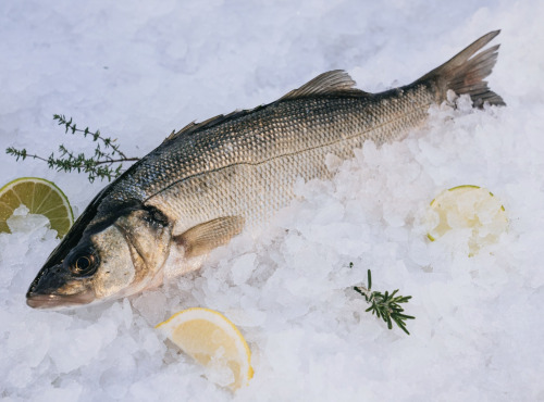 Côté Fish - Mon poisson direct pêcheurs - Loups 500g