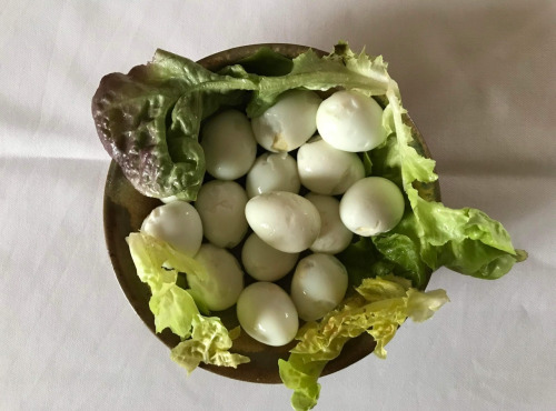 Des Poules et des Vignes à Bourgueil - 30 œufs de cailles cuits dur